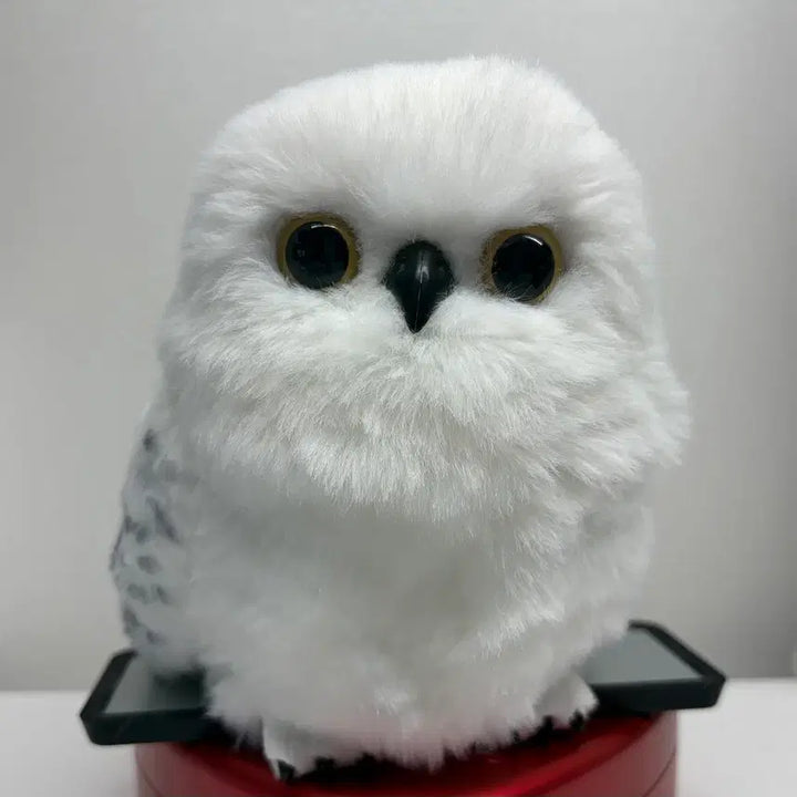 [BUNJANG] Universal Beijing Harry Potter Animated Hedwig Snowy Owl / 해리포터 움직이는 헤드위그 snowy owl