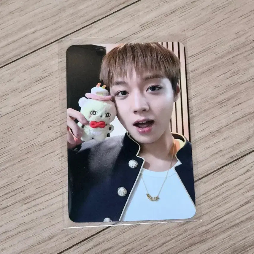 [BUNJANG] Park Jihoon Sosimi Popup Photocard / (무료배송) 박지훈 소심이 팝업 5만원 포카 판매