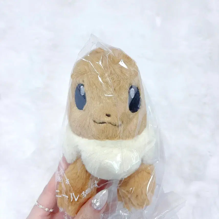 [SOLD OUT] 포켓몬센터 쿠타쿠타탓타 이브이 인형