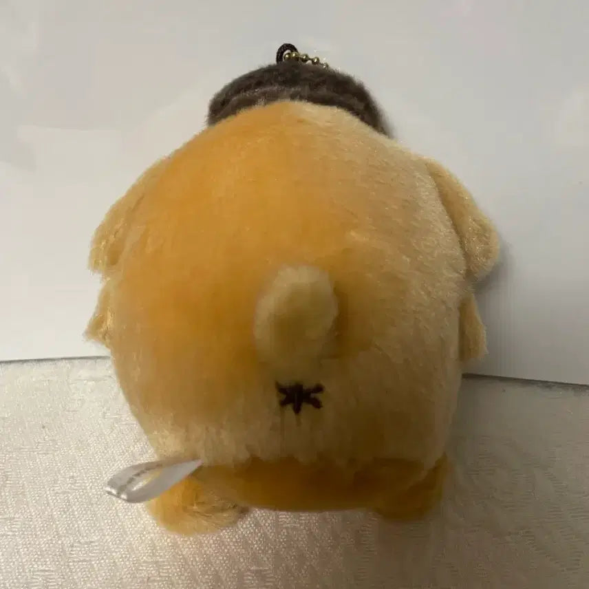[BUNJANG] Pompompurin Fancy Retro Acrylic Case / 폼폼푸린 팬시 레트로