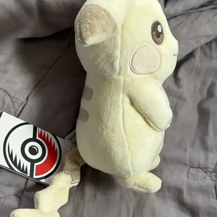 [BUNJANG] Chūgoku Pokémon Center Pikachu Plush / 중포센 창백카츄 정품 인형