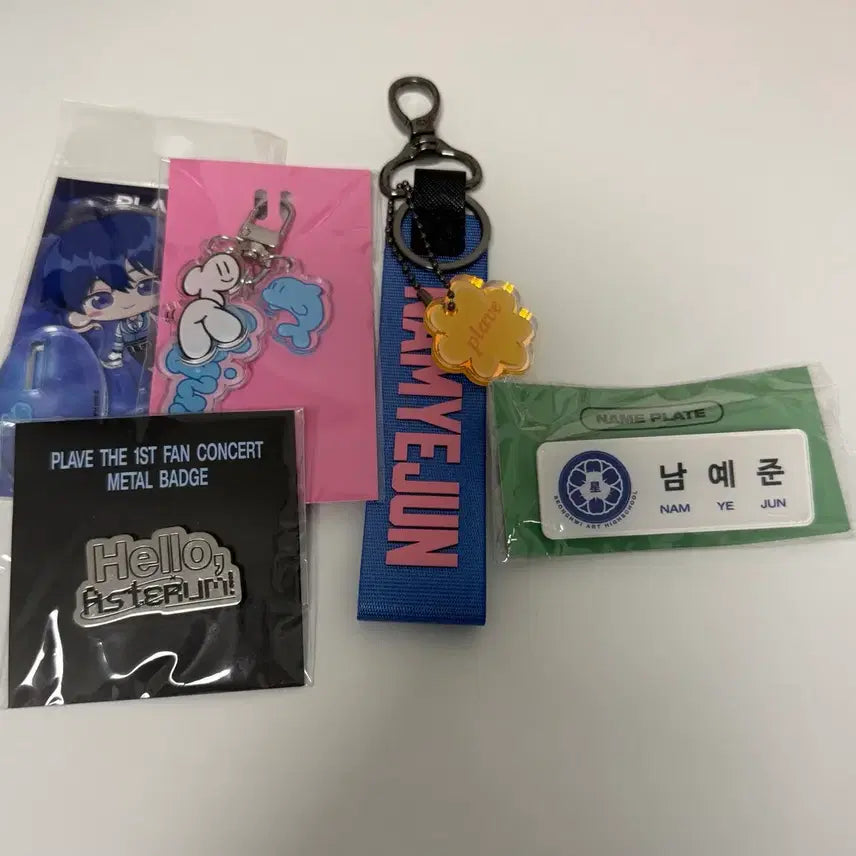 [BUNJANG] PLAVE Yejun Name Tag, Yeryum Keyring, Samwi Keyring Bundle Set / 플레이브 예준 명찰, 육여름 키링, 삼왜 키링 등 일괄 양도