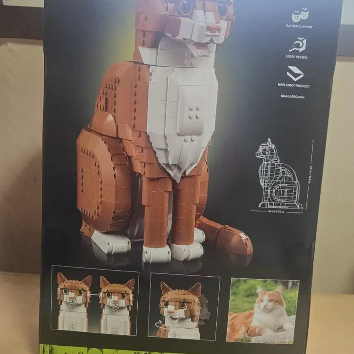 [BUNJANG] Lego Ideas Cheese Cat Set / 레고 아이디어 치즈고양이