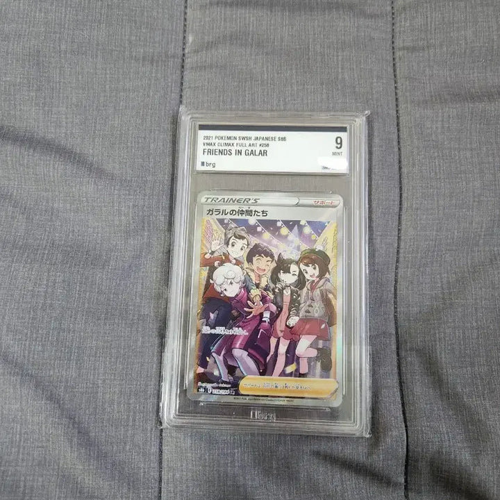 [BUNJANG] Pokemon Card: Galar Friends - Japanese Version - BRG Graded 9 / 포켓몬카드 브맥클 가라르의 동료들 일판 brg 9등급 (가격 3번 인하)