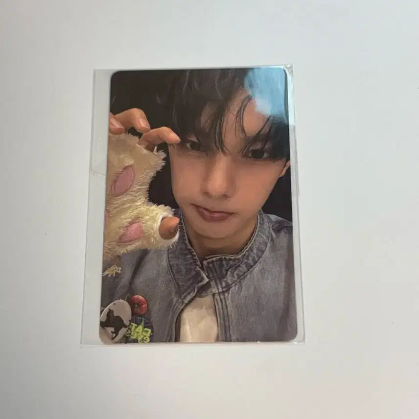 [BUNJANG] Choi Ri Woo Bopo Exhibition Photocard (Korean Version) / 최립우 보플 전시회 한국버전 포카