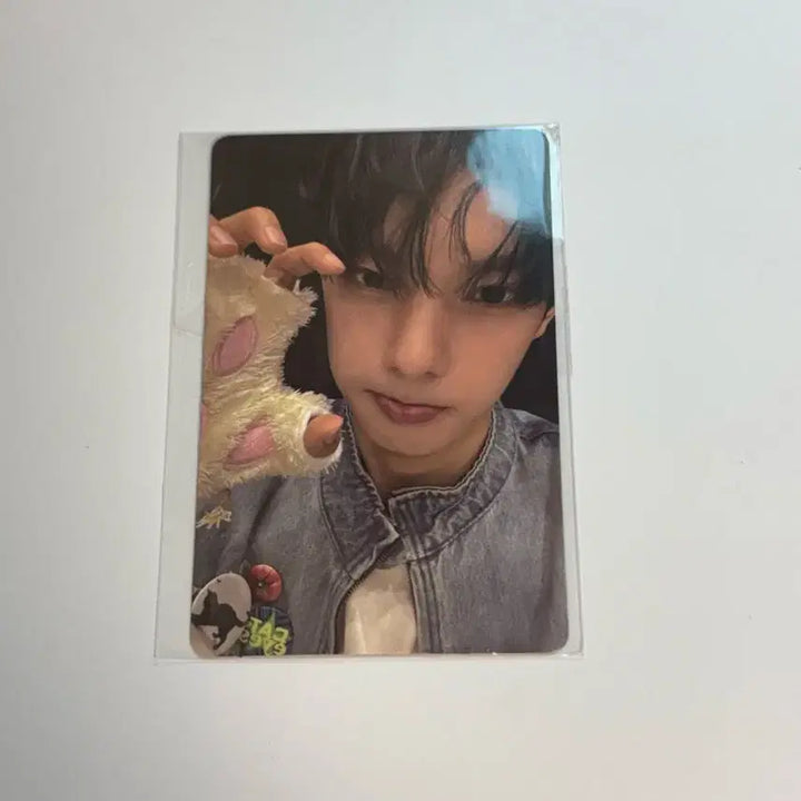 [BUNJANG] Choi Rip-woo Bofl Exhibition Korea Version Photocard / 최립우 보플 전시회 한국버전 포카