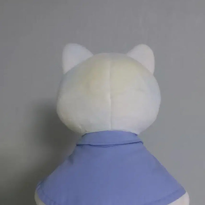 [SOLD OUT] tws TWS 1주년 팝업 대왕 투냥이