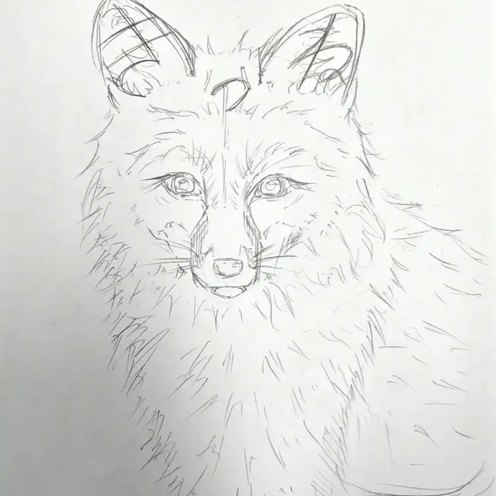 [BUNJANG] Custom Pet Portrait Commission - Digital and Traditional Options Available / 반려동물 그림 커미션! 디지털 가능 고퀄, 저퀄 다 가능!