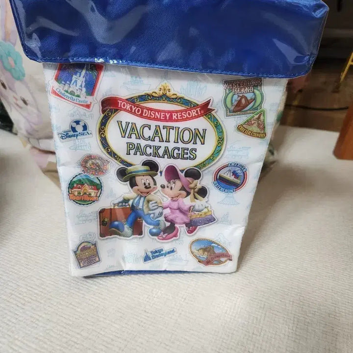 [BUNJANG] Tokyo Disney Vacation Package Limited Edition Popcorn Case / [희귀/새상품] 도쿄 디즈니 바케이션 패키지 한정판 팝콘 케이스
