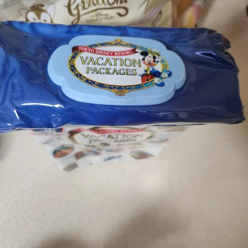 [BUNJANG] Tokyo Disney Vacation Package Limited Edition Popcorn Case / [희귀/새상품] 도쿄 디즈니 바케이션 패키지 한정판 팝콘 케이스
