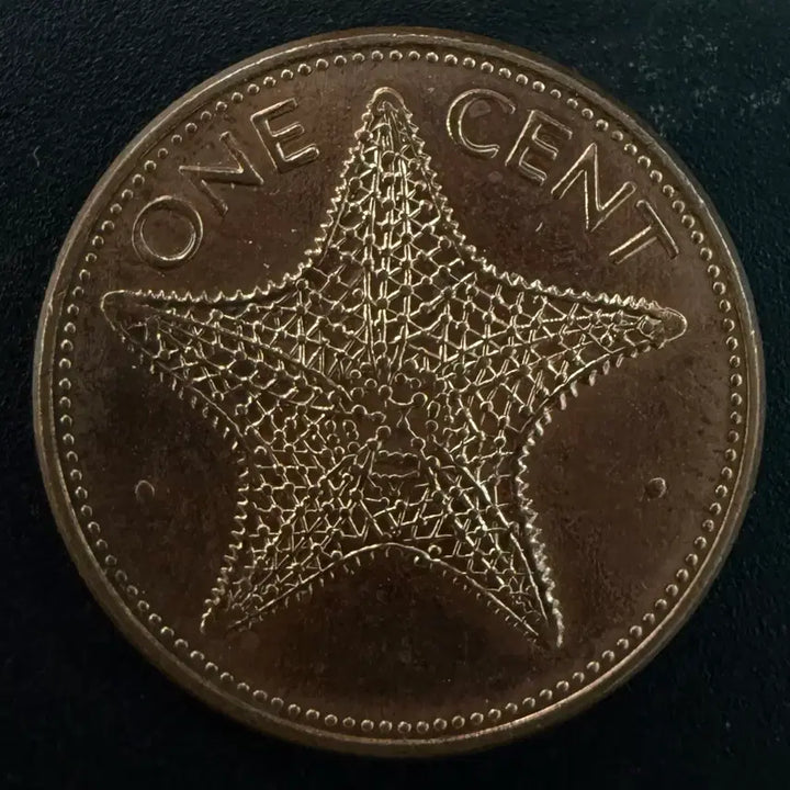 [BUNJANG] 1998 Bahamas 1 Cent Starfish Coin / [희귀]1998년 바하마 1센트 불가사리 동전 w1625