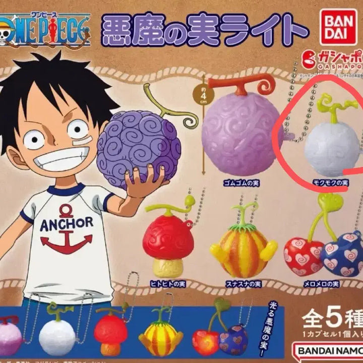 [BUNJANG] One Piece Devil Fruit Light Gacha Series 1 (Sealed) / 미개봉) 악마의 열매 라이트 가챠 1탄 뭉게뭉게 열매 원피스