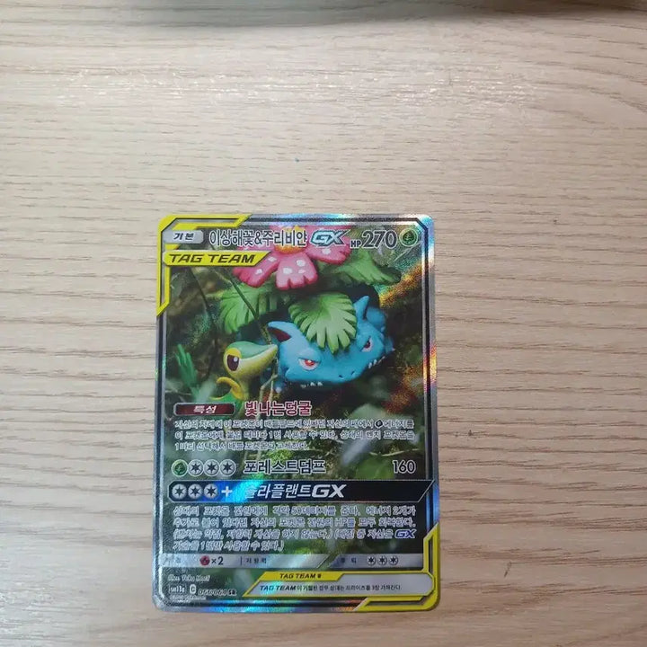[BUNJANG] Venusaur &amp; Blastoise GX Tag Team Special Illustration Rare / 이상해꽃&amp;주리비얀 GX 태그팀 특일