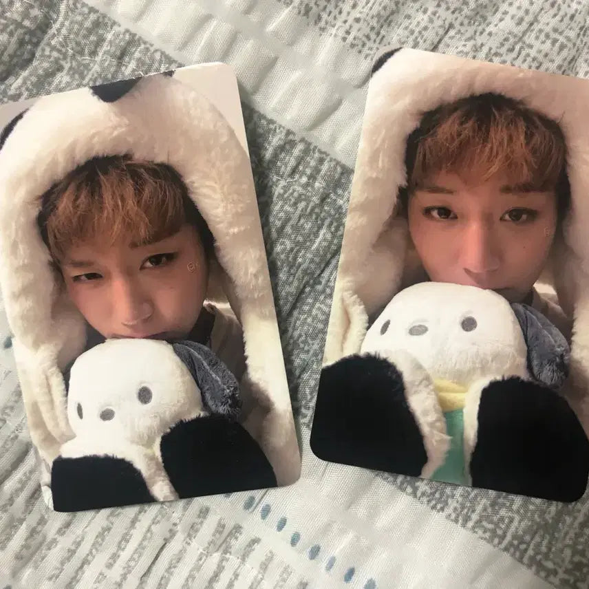 [BUNJANG] Park Ji Hoon Beat Road POB Photocard / 박지훈 비트로드 미공포 포카