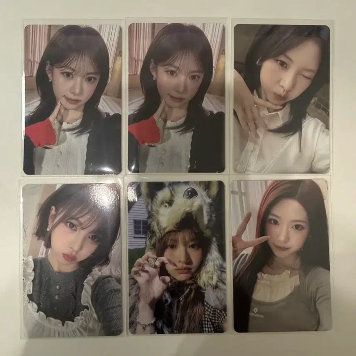 [BUNJANG] RE:SENCE Photocard / 리센느 포카 앨포 양도해요