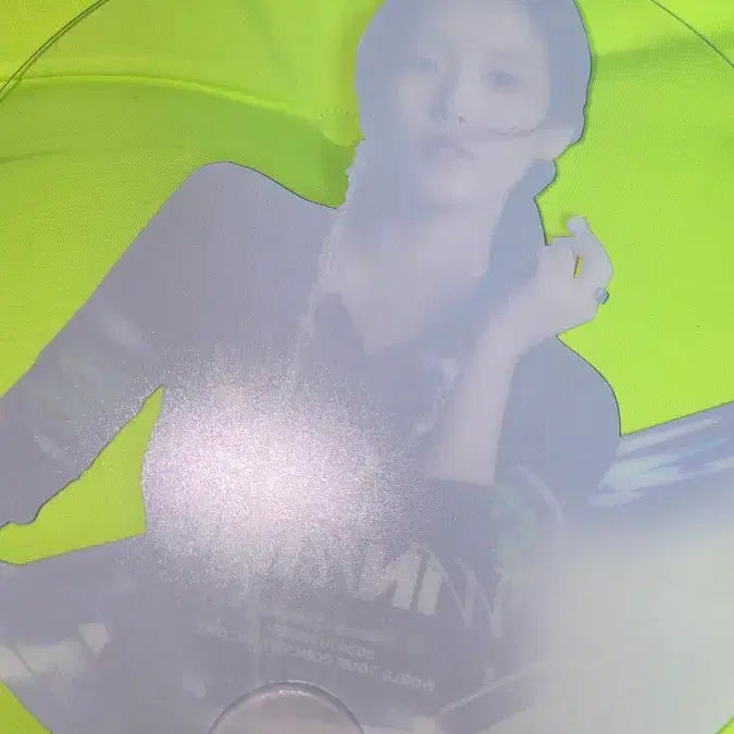 [BUNJANG] IU 2024 The Winning Encore Concert Picket, Cushion / 아이유 2024 더위닝 앵콜콘 피켓, 방석