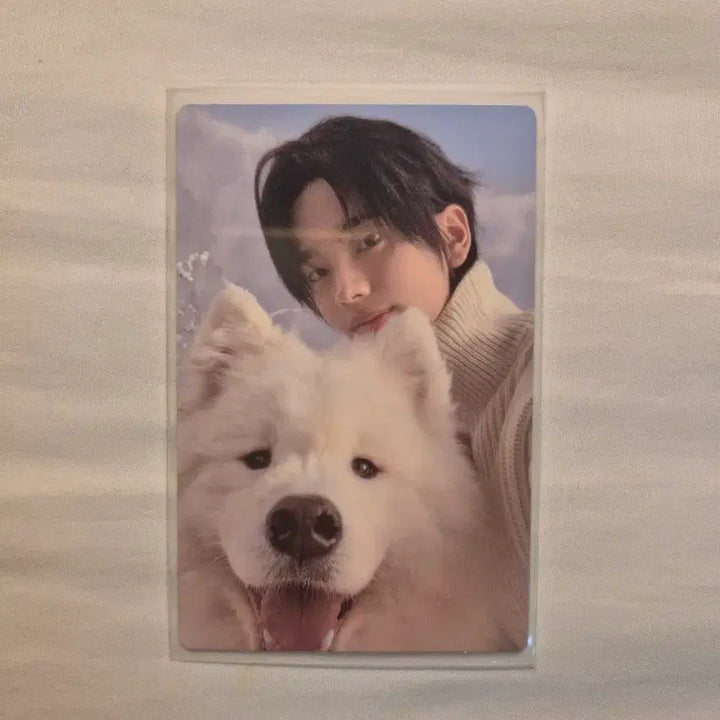 [BUNJANG] TWS Shinyu Last Bell Photocard (Weverse) / 투어스 신유 Last Bell 포카 (위버스)