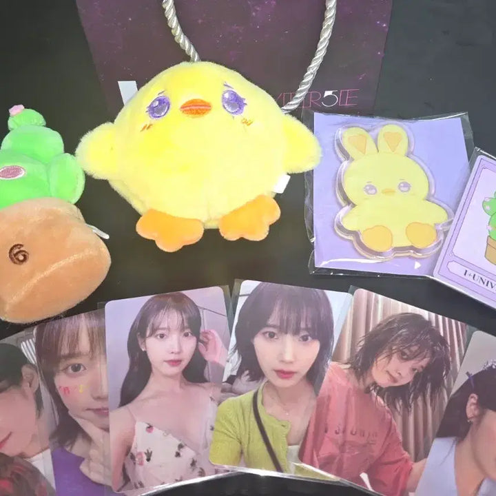 [BUNJANG] IU 2023 Fan Concert Photocard Bundle Set / 아이유 IU 2023 팬콘서트 첫콘 역조공 , 포토카드 양일 일괄