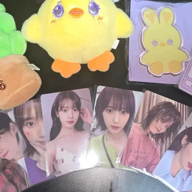 [BUNJANG] IU 2023 Fan Concert Photocard Bundle Set / 아이유 IU 2023 팬콘서트 첫콘 역조공 , 포토카드 양일 일괄