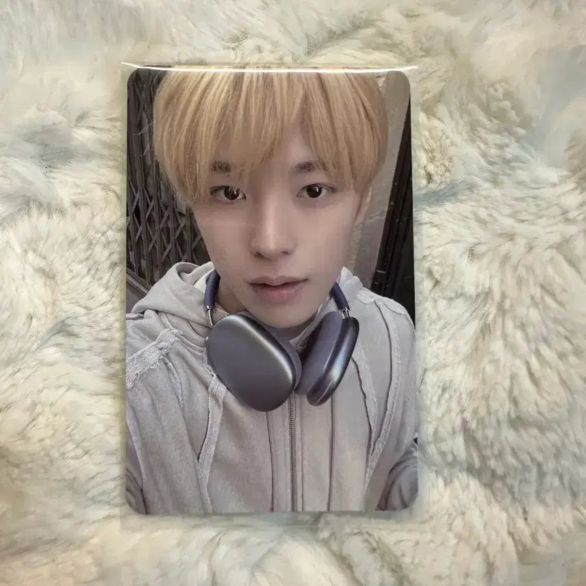 [BUNJANG] NCT Wish Yushi Photocard / 배포)엔시티 위시 위시 유우시 포카 양도!