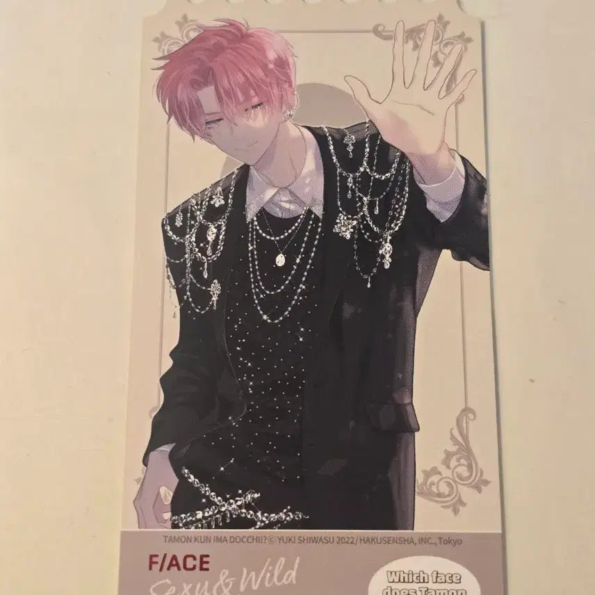 [BUNJANG] Tamom-gun Vol. 3 First Edition Ticket Photocard / 타몬군 지금 어느쪽 3권 초판 티켓 포토카드 포카