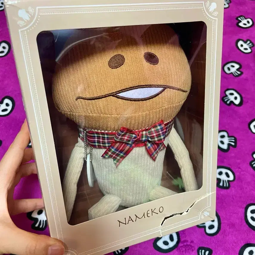 [BUNJANG] Namco 10th Anniversary Set (Bundle Set, Full Box) / 일괄]정품 10주년 나메코 2종 세트(풀박)