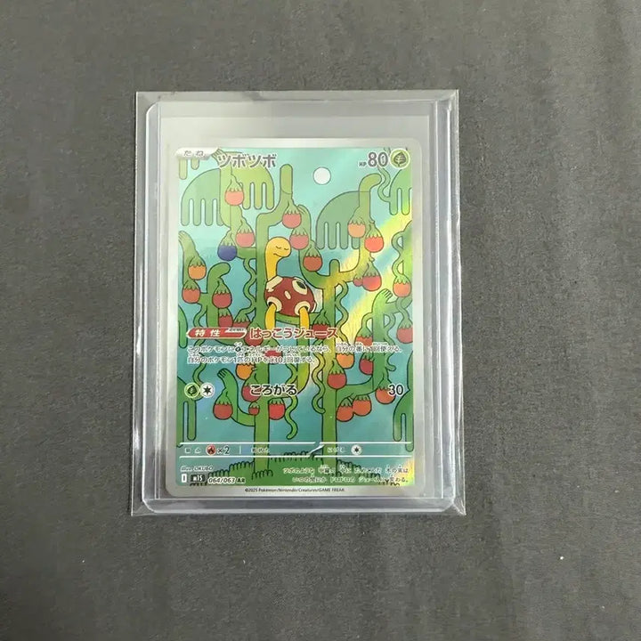 [BUNJANG] Japanese Pokemon Cards / 포켓몬카드 일판ar들판매합니다
