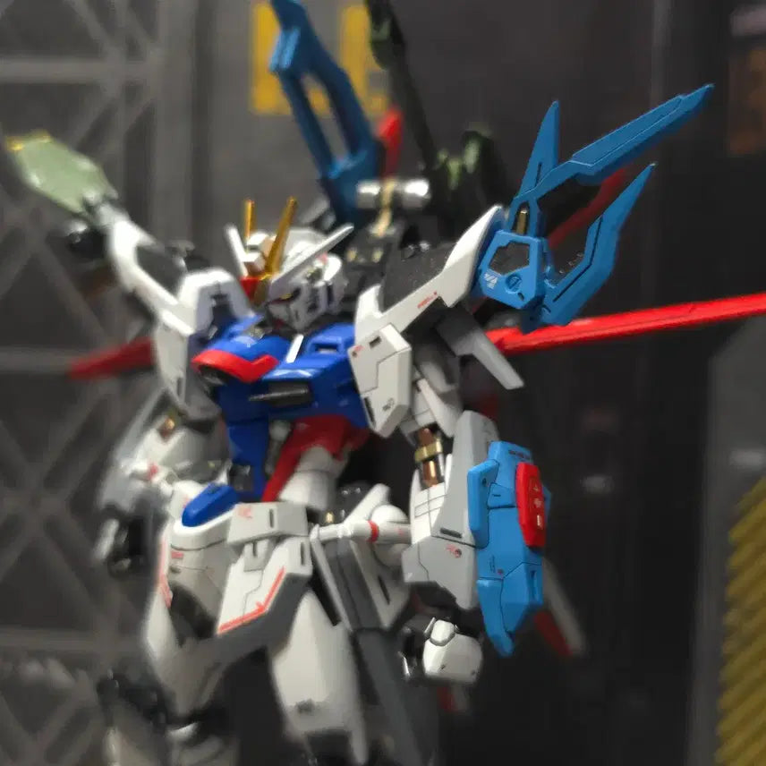 [BUNJANG] HG Perfect Rising Freedom Custom Painted Model / [도색작] HG 퍼펙트 라이징 프리덤
