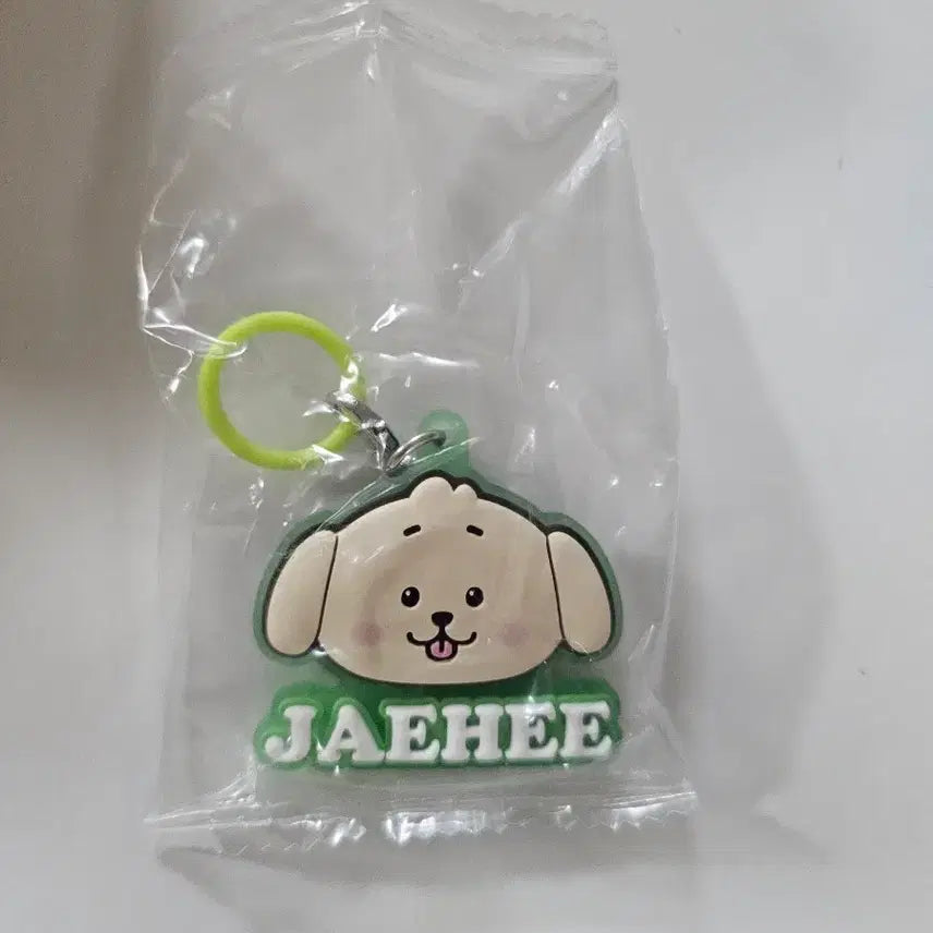 [BUNJANG] NCT WISH Jaehee Dangtreeber Mejilushi Gacha / 엔시티위시 재희 댕트리버 메지루시 가챠
