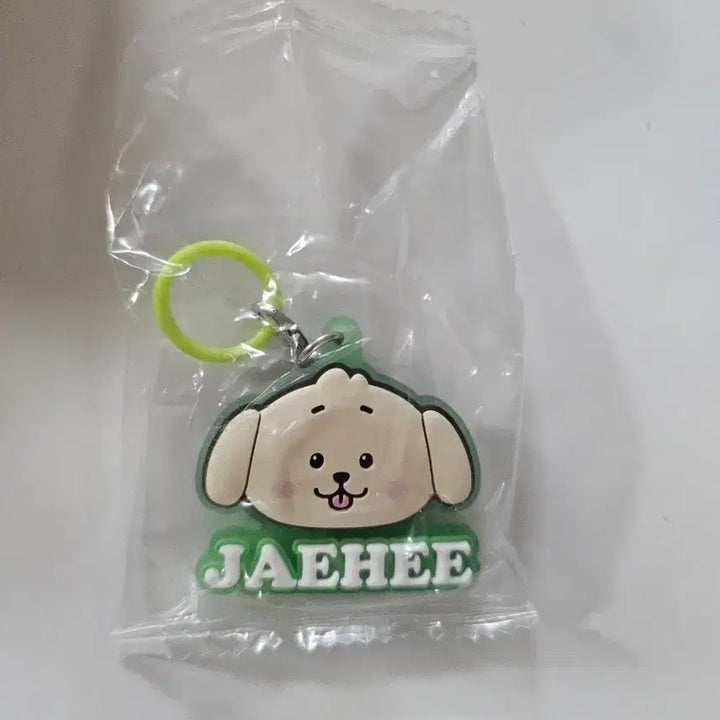 [BUNJANG] NCT WISH Jaehee Dangtreeber Mejilushi Gacha / 엔시티위시 재희 댕트리버 메지루시 가챠