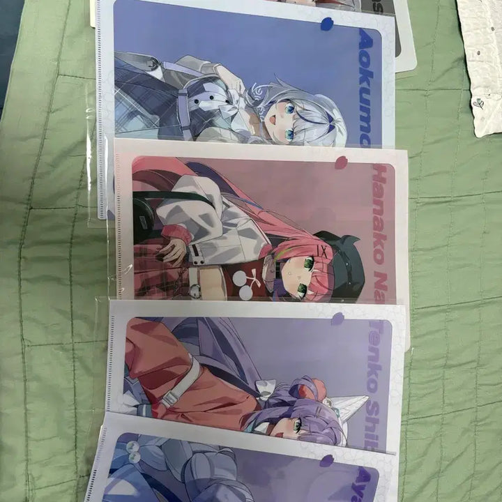 [BUNJANG] Stellive Spring Blossom Date L Holder Set / 스텔라이브 봄빛데이트 L홀더