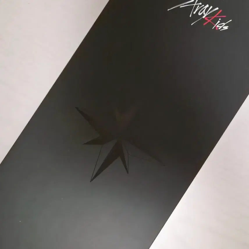 [BUNJANG] Stray Kids Nachimbong Lightstick / 스트레키즈  응원봉 나침봉