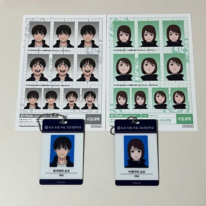 [BUNJANG] Jujutsu Kaisen Occult and Demonic Tale Shoko Ieiri &amp; Haibara Yu Haibara ID Card Keychain Set / 주술회전 팝업 주술회전 id카드 키링 회옥옥절 쇼코, 하이바라