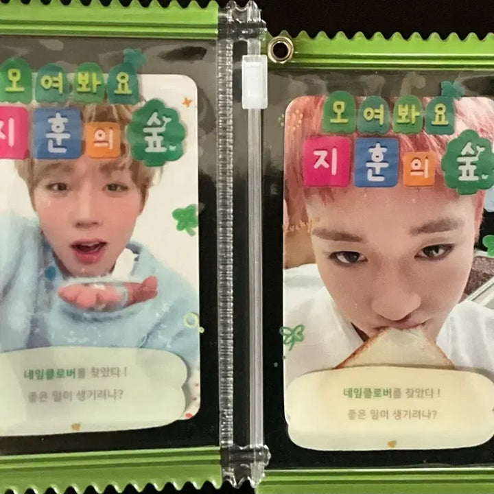 [BUNJANG] Park Jihoon Milk Glass Birthday Photocard / [급처] 박지훈 밀크글라스 생일 포카