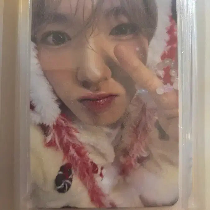 [BUNJANG] NCT WISH TT Photocard Set (Excluding Yushi) / 엔시티 위시 티티 포카 세트 (유우시 제외)