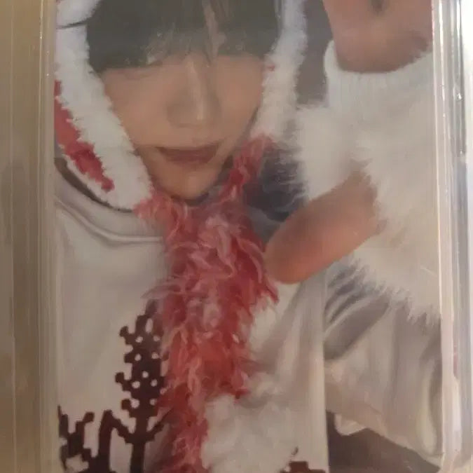 [BUNJANG] NCT WISH TT Photocard Set (Excluding Yushi) / 엔시티 위시 티티 포카 세트 (유우시 제외)