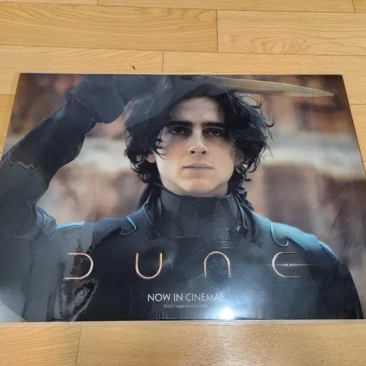 [BUNJANG] Dune PET Poster / 듄 pet 포스터 판매합니다