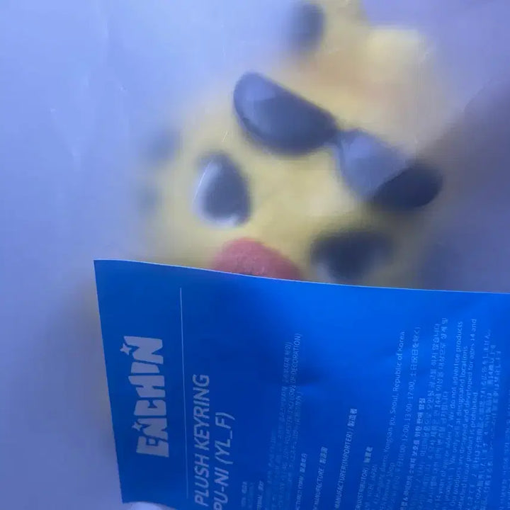 [BUNJANG] ENHYPEN Ni-ki Plush Doll / 원가이하) 퓨니 엔친 엔하이픈 니키 엔하이픈인형