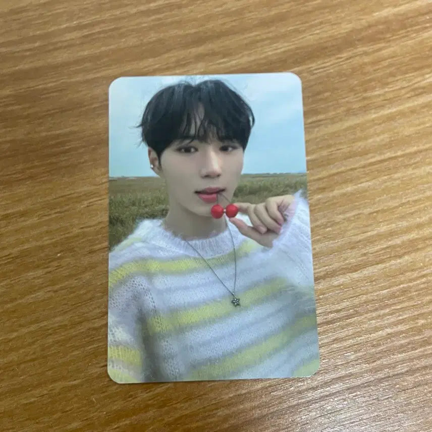 [BUNJANG] Xdinary Heroes Junseo Inga Studio Photocard Euphoria Music Core M Countdown Music Bank The Show Show Champion / 알디원 준서 인가 공방 포카 / 유포리아 음중 엠카 뮤뱅 더쇼 쇼챔