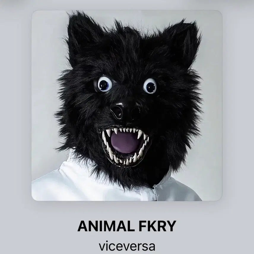 [BUNJANG] Versace Animal Print Limited Edition Numbered CD / 바이스벌사 animal fkry 초판 넘버링  cd