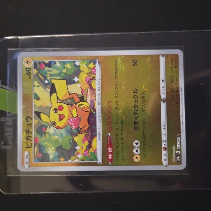 [BUNJANG] Pokemon Card Strawberry Chu / 급..포켓몬카드 딸기츄 등급용