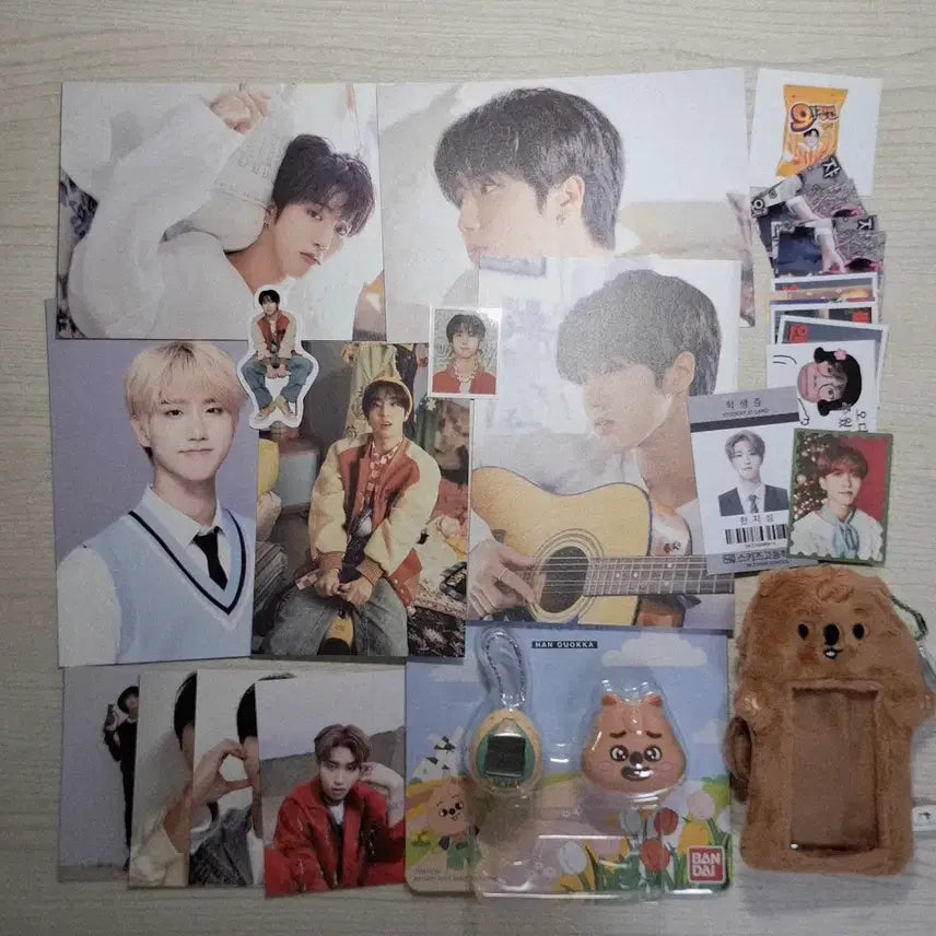 [BUNJANG] Stray Kids Han Jisung "HanQuokka" Tamagotchi Photocards Bundle Set / 스트레이키즈 한지성 한쿼카 다마고치 엽서 비공굿 포카홀더 증사 일괄 처분