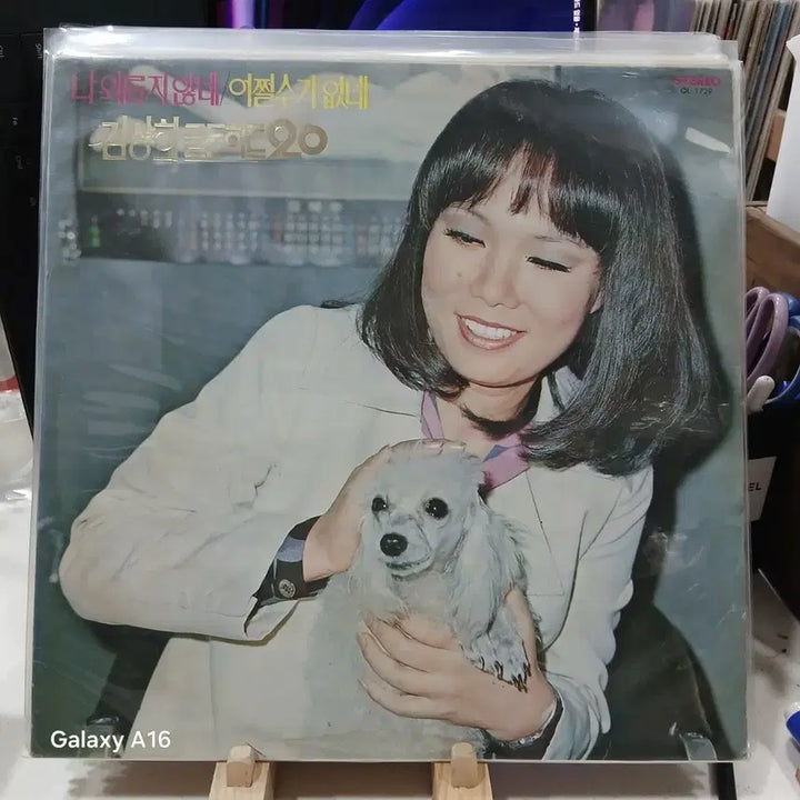 [BUNJANG] Kim Sang Hee 20-Year Hit Songs LP / LP  김상희 히트곡 20년
