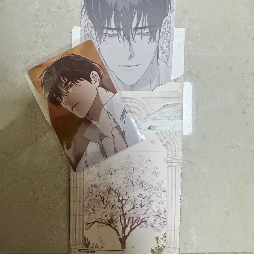 [BUNJANG] Baekya Flower Road Tarot Pack Taei Rebom Cafe Collab Pop-up / 백야의 꽃길 타로팩 테이 레봄 카페 콜라보 백야 팝업 오늘만 사는 형제