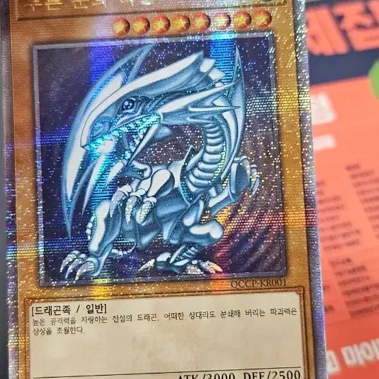 [BUNJANG] Blue-Eyes White Dragon Quarter Century Secret Rare / 푸른눈의 백룡 25 쿼터센츄리 시크릿레어