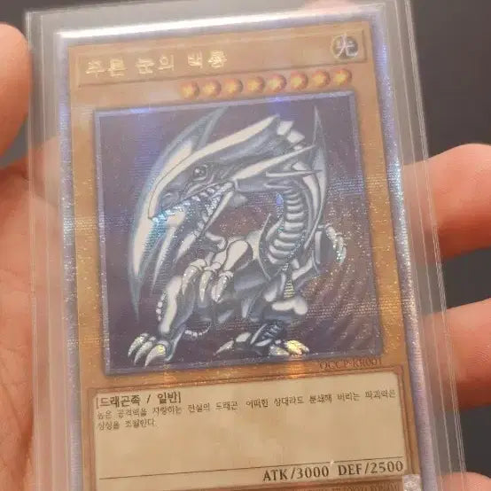 [BUNJANG] Blue-Eyes White Dragon Quarter Century Secret Rare / 푸른눈의 백룡 25 쿼터센츄리 시크릿레어