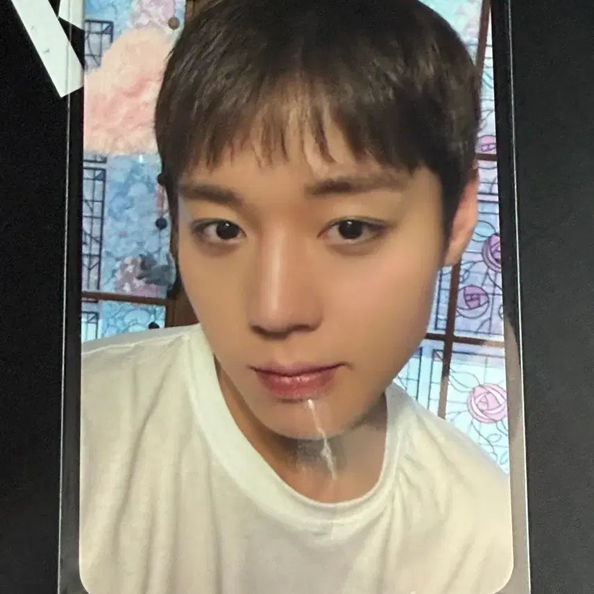 [BUNJANG] Park Ji Hoon REFLECT Album (POB Photocard Included) / 박지훈 REFLECT 미개봉 앨범  (특전포카 같이 넣어드려요)