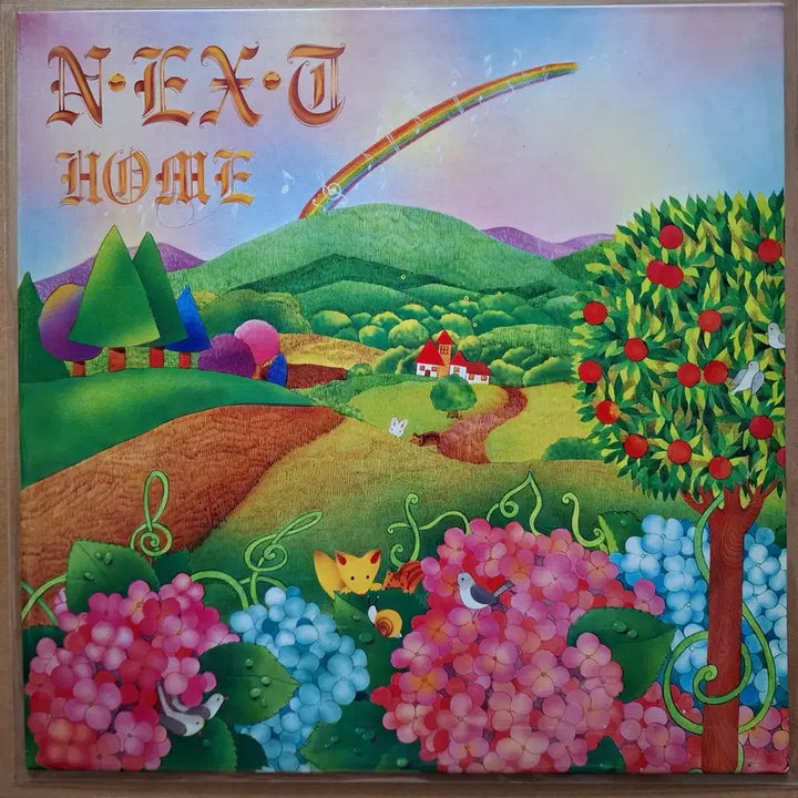 [BUNJANG] Shin Hae Chul / NEXT HOME LP / 신해철/NEXT HOME 앨범 LP