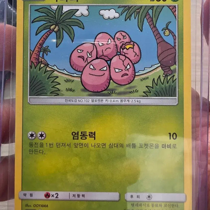 [BUNJANG] Pokemon Card Arawoot Promo Card / 포켓몬카드 아라리 프로모카드