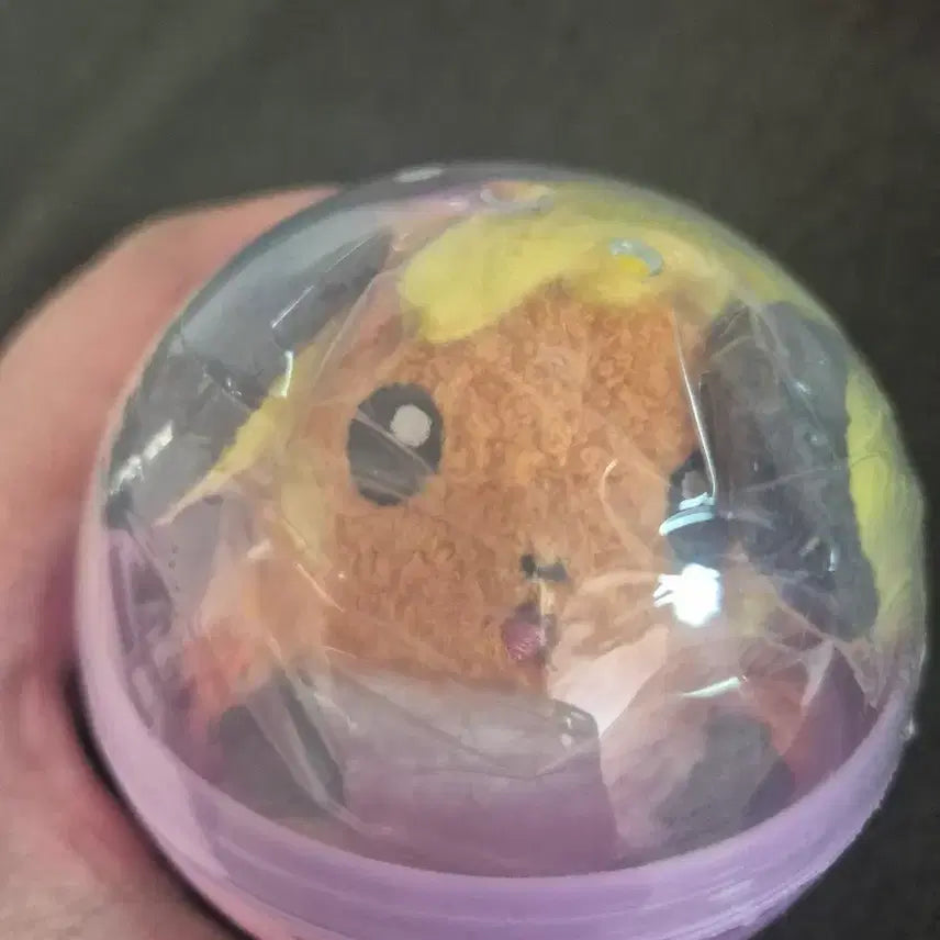 [BUNJANG] Pokemon Sticky Magnet Mascot Collection (Raichu) / 포켓몬 찰싹 자석 마스코트 컬렉션 (라이츄)